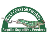Gulf Coast Silkworms