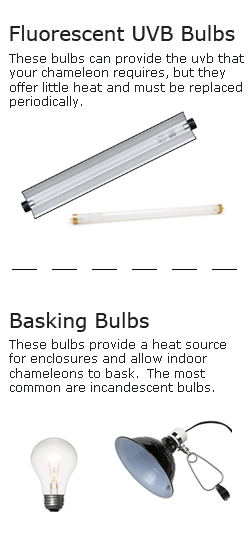 UVB vs Basking bulbs