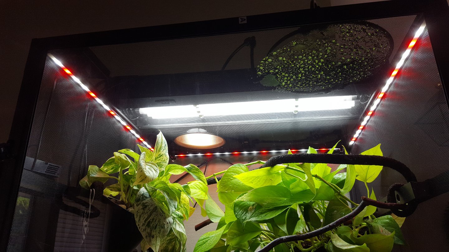 Reptibreeze LED - Good just | Chameleon Forums