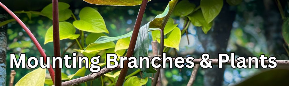 branch mounting.jpg