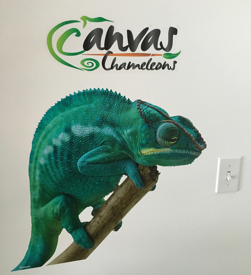 Canvas Chameleons Fathead (2).jpg