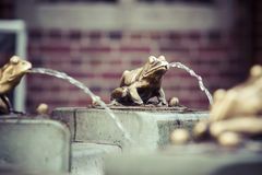 fountain-golden-lucky-frog-symbol-torun-city-pola-poland-55148238.jpg.cf.jpg