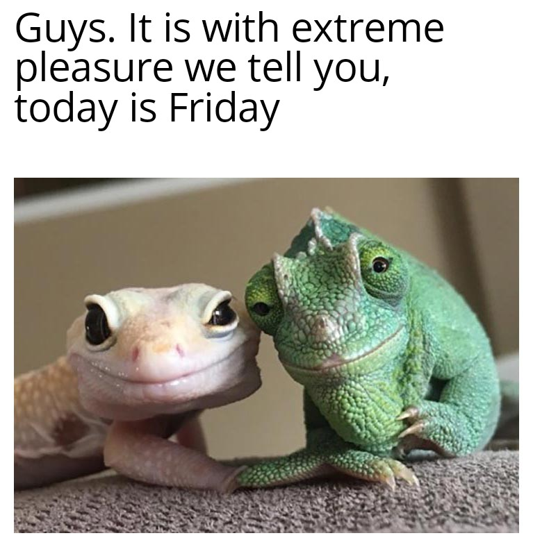 Friday, more like FriYAY. _ r_memes.png