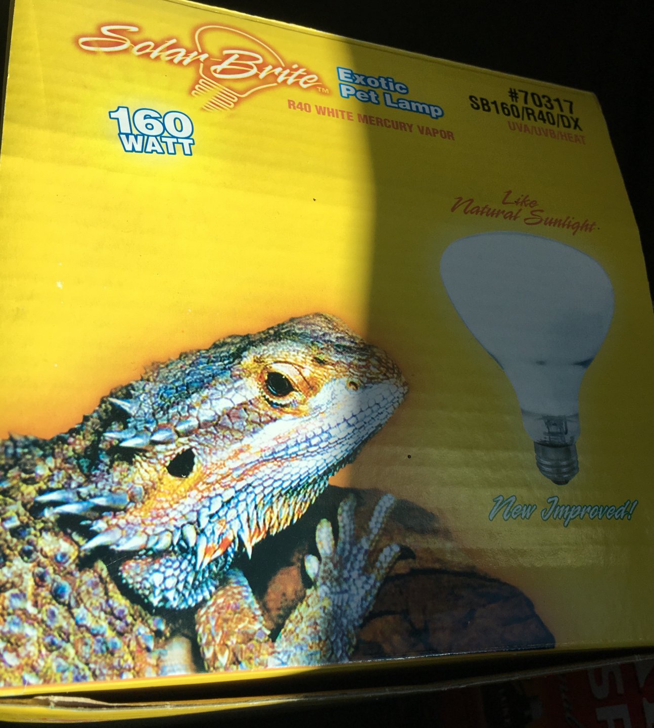 Mercury vapor shop bulb bearded dragon