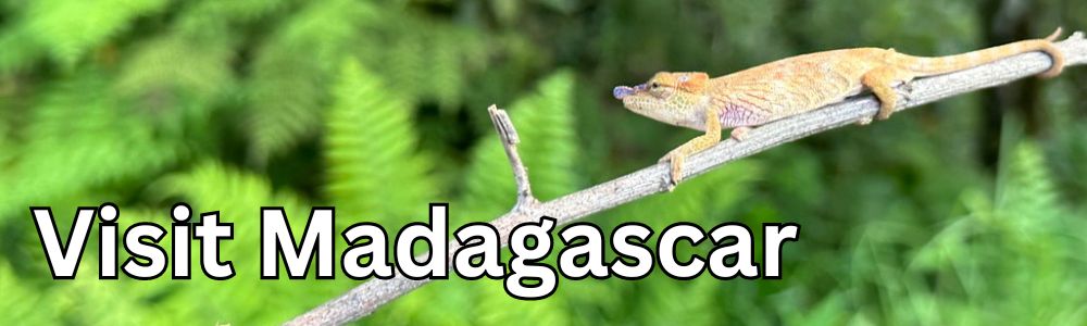 Madagascar.jpg