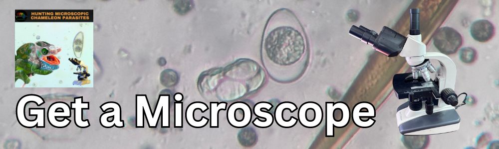 microscope.jpg