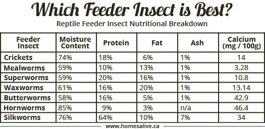 reptile-feeders-chart.jpg