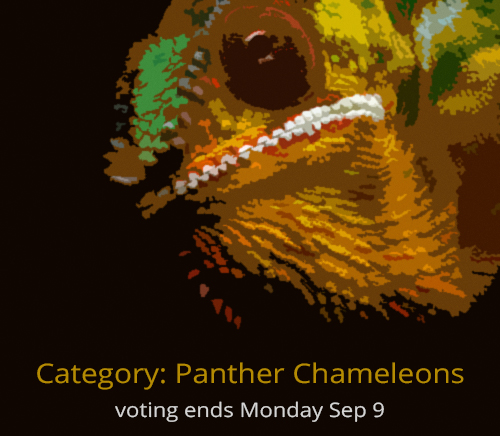 vote_panther1.jpg