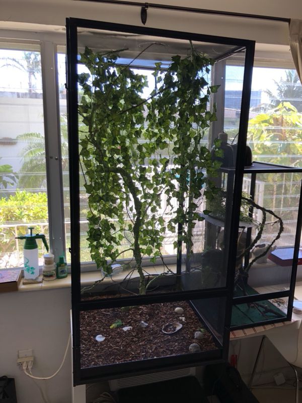 Chameleon screen cage best sale