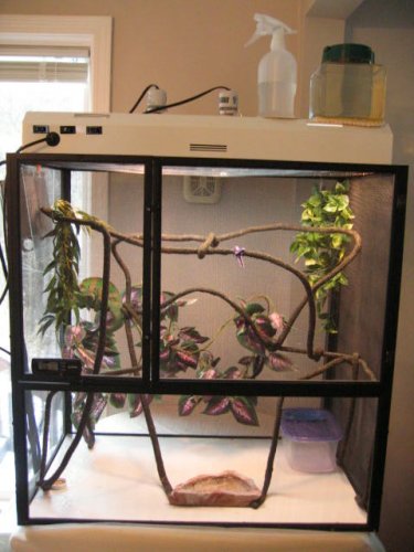 Marty's cage 1.JPG