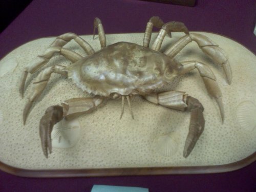 crab.jpg