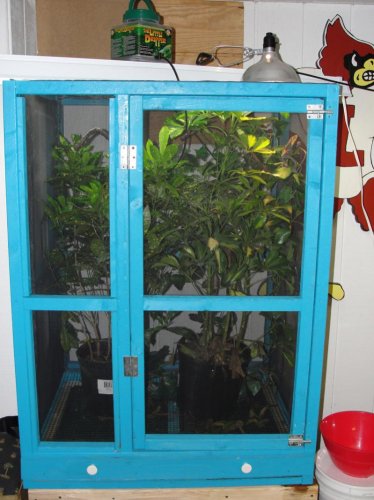 chamcageforsale2.jpg