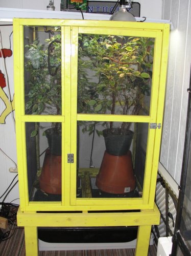 chamcageforsale1.jpg