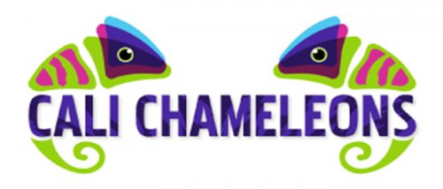 Cali Chameleons LOGO.jpg