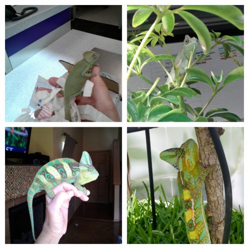 Lil Squirt Collage.jpg