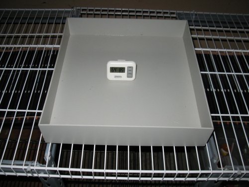 16 x 16 x 30 Screen Cage Substrate Tray 018.jpg