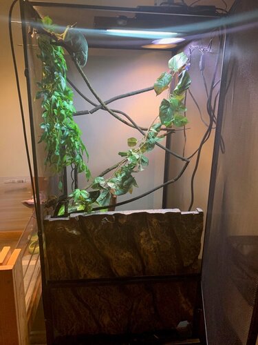 new enclosure.jpg