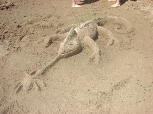 giant sand cham.jpg