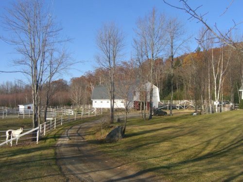 Freedom Reins Farm -Fall 2011.jpg