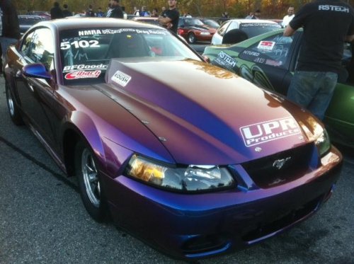 purp mustang AM.JPG