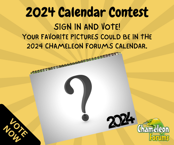 2024 CALENDAR VOTE (Facebook Post (Landscape)).png