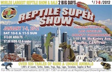 reptile_show_mainImage.jpg