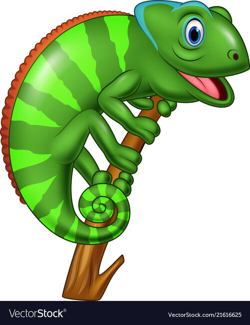 cartoon-chameleon-on-a-branch-vector-21616625-3412938670.jpg