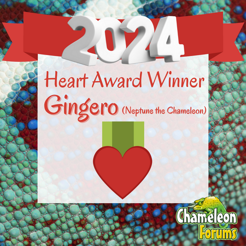 2024 Heart Award (Instagram Post).png