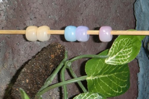 solar beads 2.jpg