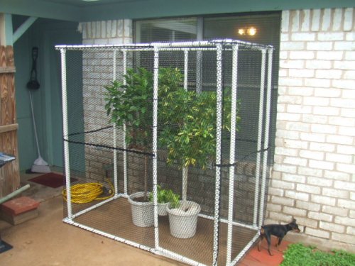 outdoor cage.jpg