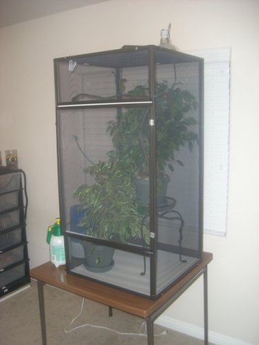 Chameleon Cage 001.jpg