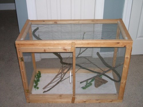 new cage 001.jpg