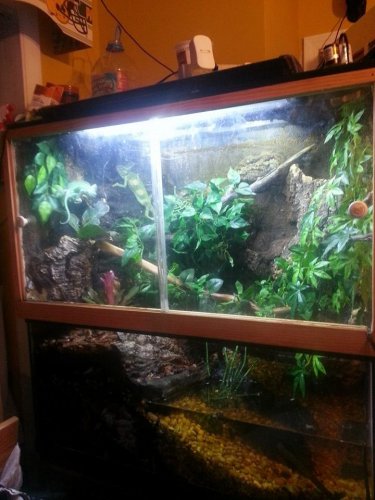 vivarium.jpg