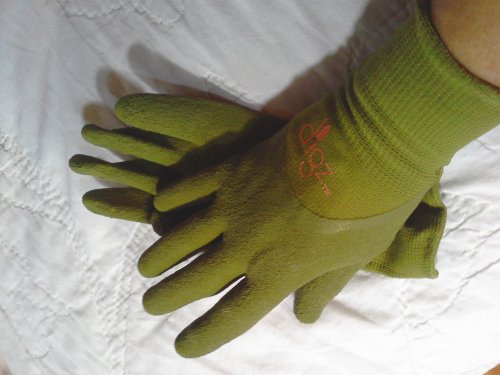 cham gloves.jpg