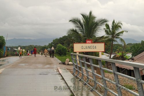 djangoa_bridge.jpg