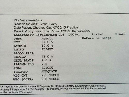 bloodwork01.jpg