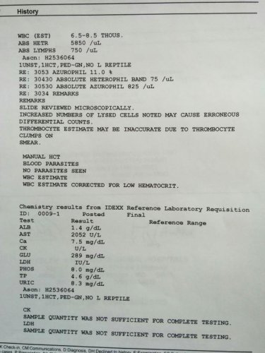 bloodwork02.jpg