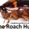 The Roach Hut
