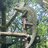 Lucas00-