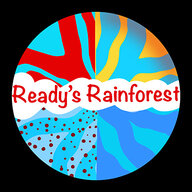 Ready's Rainforest