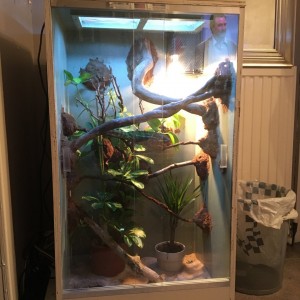 First attempt at building a viv