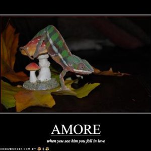 amore poster