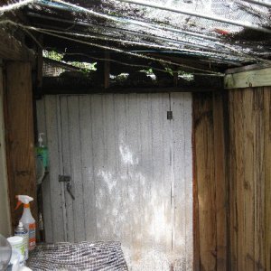 One end is this small shed, which houses my bug farm for crickets and Black Soldier Flies. You can also see the criss-cross of climbing ropes and wire