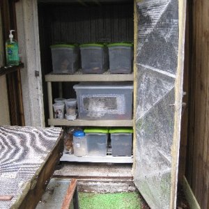 This is my bug barn for crickets and pupating BSF into flies. This makes up one end of the cage/room.