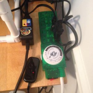 Timer, Hygrotherm, and Dimmer for the basking bulb