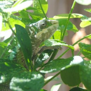 1st Day Outdoor Basking