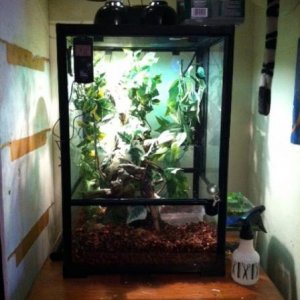 Chevy outside view. This is a ZOO MED ReptiBreeze.