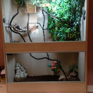 Randalls's Vivarium