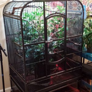 Parrot cage Conversion