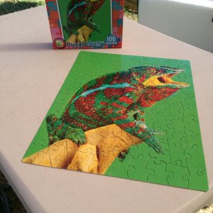 putting puzzle together in the Sukkah